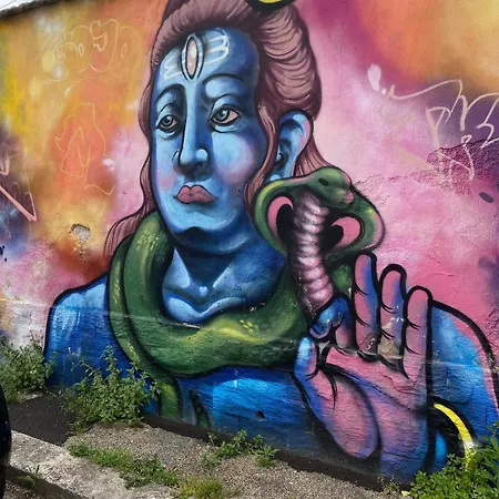 Torpigna Rainbow Roma